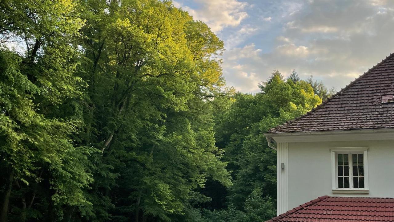 Villa Anser Połczyn-Zdrój Eksteriør billede